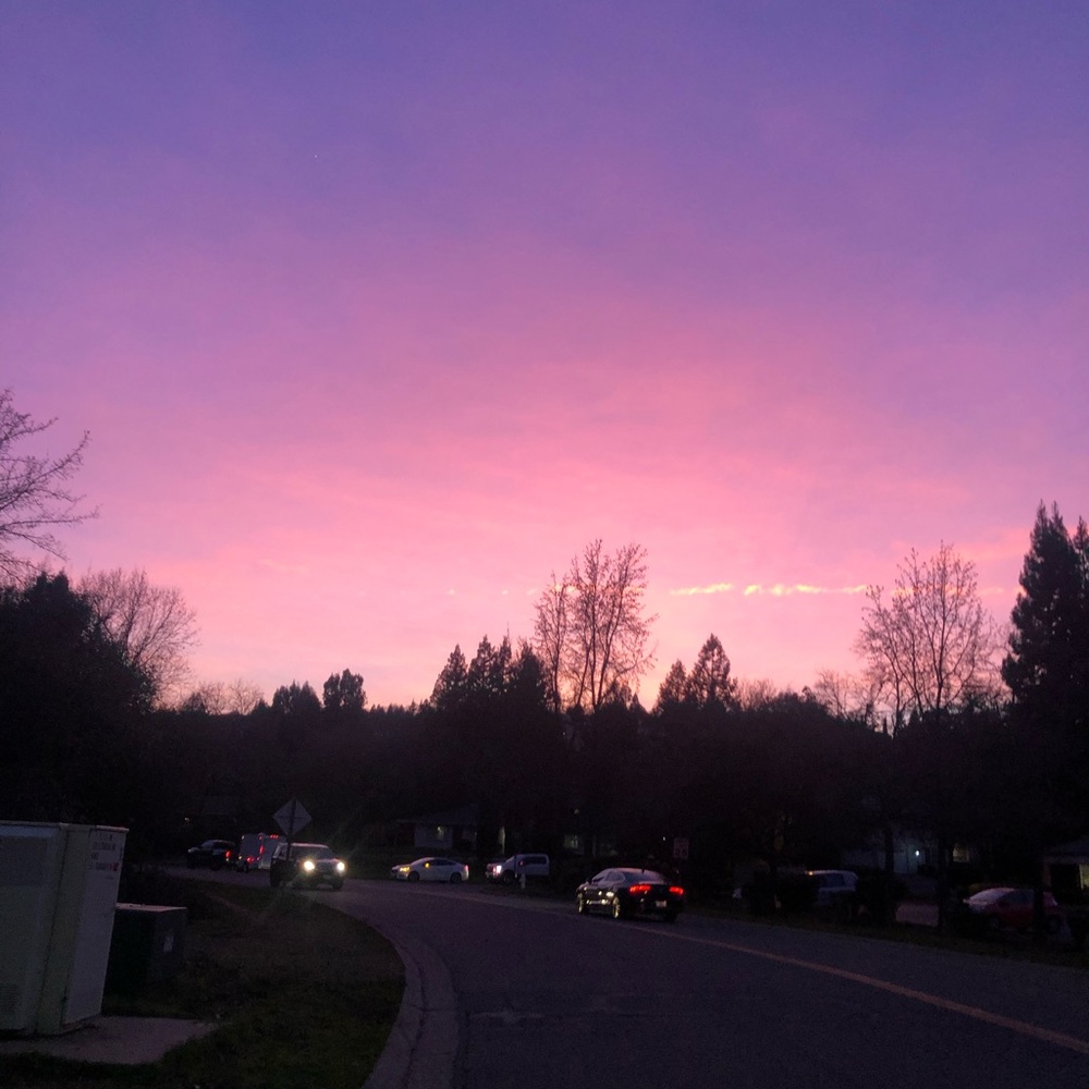 Meet your Posher, Sam